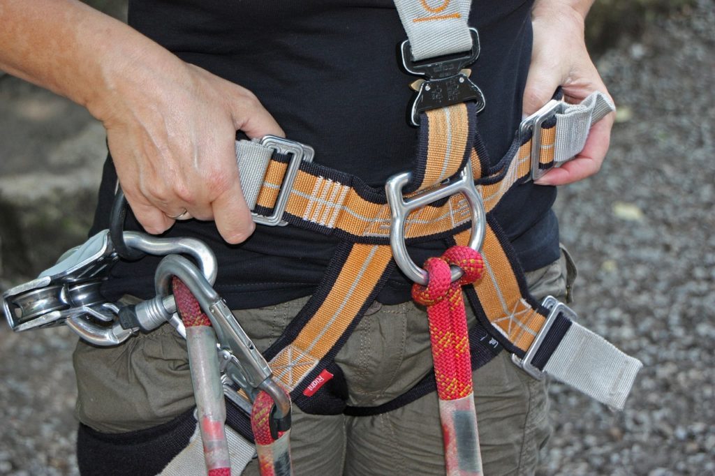 Forest Climbing Park 931256 1280 1024x682